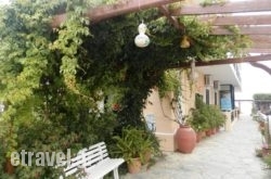 Camelia hollidays Camelia hollidays