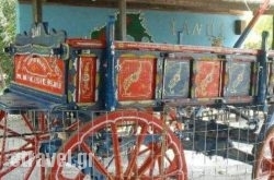 Ionos hollidays Ionos hollidays