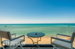 Dexamenes hollidays Dexamenes hollidays