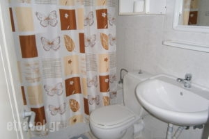 Petros Studios_best deals_Apartment_Ionian Islands_Kefalonia_Poros