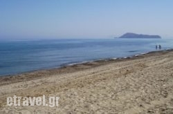 Summer Lodge hollidays Summer Lodge hollidays