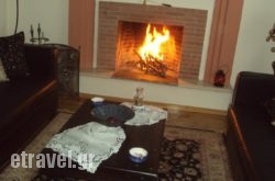 Araliides hollidays Araliides hollidays