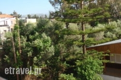 Niriis Hotel hollidays