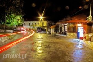 Guesthouse Zatouna_lowest prices_in_Hotel_Peloponesse_Ilia_Andritsena