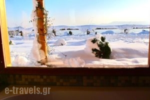 Hyades Mountain Resort_best deals_Hotel_Peloponesse_Korinthia_Xilokastro