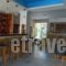 Apollo_lowest prices_in_Apartment_Ionian Islands_Zakinthos_Argasi