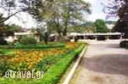 Tourist hollidays Tourist hollidays