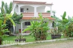 Banana Place hollidays Banana Place hollidays