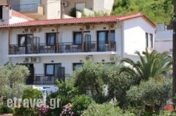 Aloe Studios hollidays