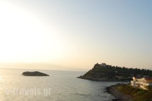 Elea Mare_holidays_in_Hotel_Peloponesse_Lakonia_Vathy