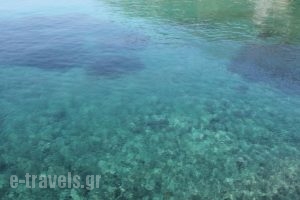 Blue Green Bay_holidays_in_Hotel_Sporades Islands_Skopelos_Skopelos Chora