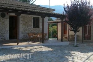 Irini Studios_best deals_Hotel_Ionian Islands_Zakinthos_Zakinthos Rest Areas