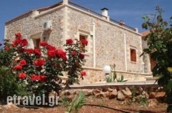 Viola Suites hollidays Viola Suites hollidays