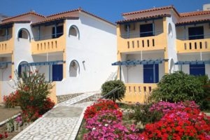 Pavlis Studios_best deals_Hotel_Aegean Islands_Samos_Kambos