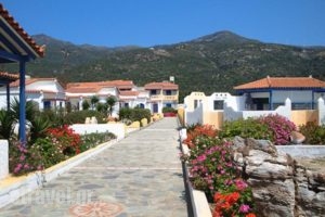 Pavlis Studios_lowest prices_in_Hotel_Aegean Islands_Samos_Kambos
