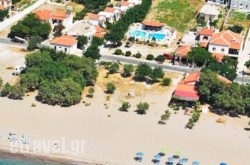 Pavlis Studios hollidays