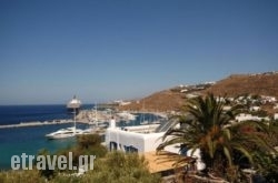 Megas Rooms hollidays