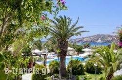 Dionysos Seaside Resort  
