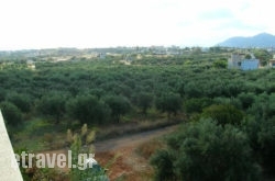 Portokali Apartments hollidays Portokali Apartments hollidays