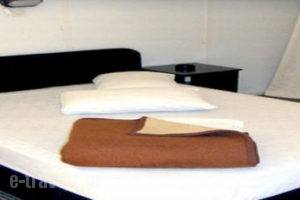 Zorbas_best prices_in_Room_Central Greece_Attica_Athens