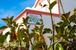 Villa Odyssey hollidays Villa Odyssey hollidays