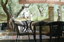 Panorama Studios hollidays