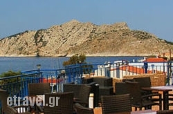 Hippocampus hollidays Hippocampus hollidays