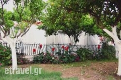 Villa Bianca hollidays Villa Bianca hollidays