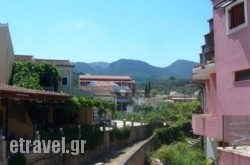 Olga's hollidays Olga's hollidays