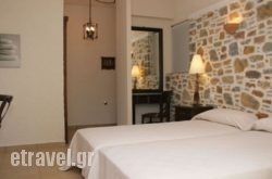 Demina Studios hollidays