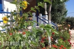 Panorama Apartments hollidays Panorama Apartments hollidays