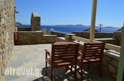 Panthea hollidays Panthea hollidays