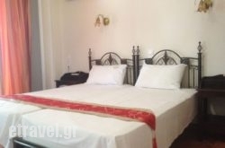 Palatino Studio hollidays Palatino Studio hollidays