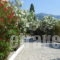 Ziogas Apartments_travel_packages_in_Ionian Islands_Corfu_Kato Korakiana