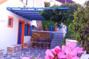 George'S Place_accommodation_in_Hotel_Cyclades Islands_Ios_Ios Chora