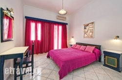 Eucalyptus hollidays