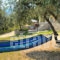 Nestor Apartments_best deals_Apartment_Aegean Islands_Thasos_Thasos Chora