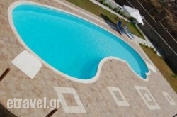 Paravatos Studios 2 hollidays Paravatos Studios 2 hollidays