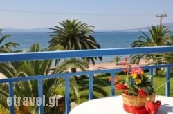 Elena Hotel hollidays