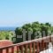 123 Soleil Studios_holidays_in_Hotel_Piraeus islands - Trizonia_Aigina_Aigina Chora