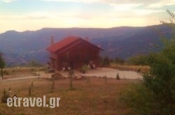 Aiolos hollidays Aiolos hollidays