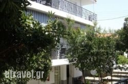 Vicky Studios hollidays Vicky Studios hollidays