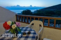 Studio Lia hollidays