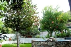 Filokalia hollidays Filokalia hollidays