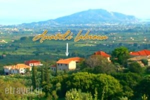 Anatoli Labreon_best prices_in_Hotel_Ionian Islands_Zakinthos_Zakinthos Rest Areas