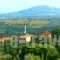 Anatoli Labreon_best prices_in_Hotel_Ionian Islands_Zakinthos_Zakinthos Rest Areas