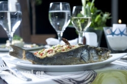 Kalypso hollidays Kalypso hollidays