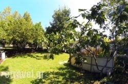 Kastri hollidays Kastri hollidays