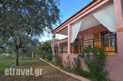 Studios Kapahi hollidays