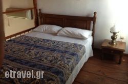 Kochylia hollidays Kochylia hollidays